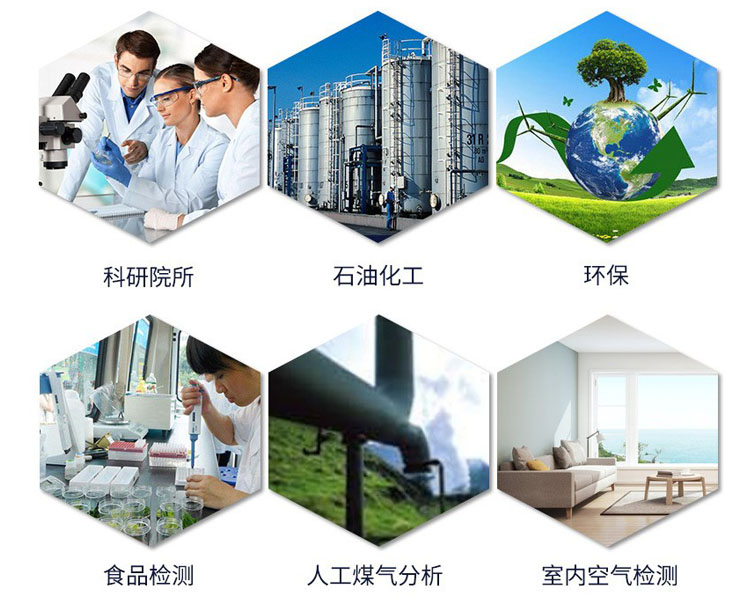 气相色谱仪应用领域 气相色谱仪应用领域